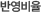 �ݿ�����